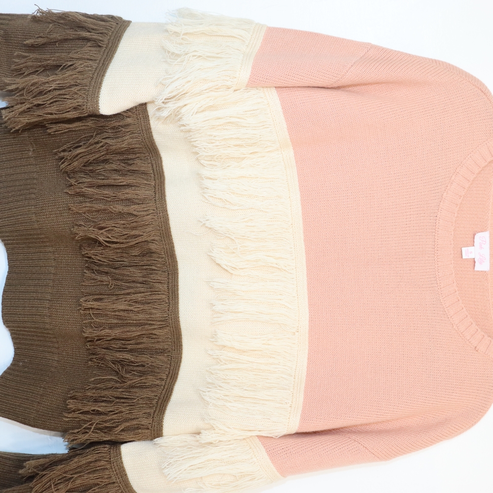 Colorblock Fringe Sweater